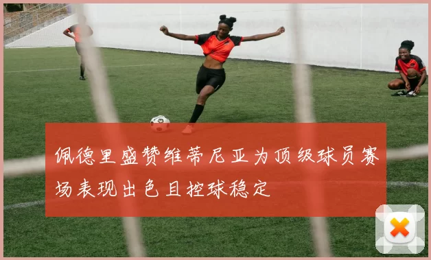 佩德里盛赞维蒂尼亚为顶级球员赛场表现出色且控球稳定