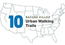 10 Nature-Filled Urban Walking Trails in the U.S.