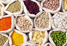 Is Lectin-free the New Gluten-free?