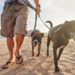 The Problem With Walking in Flip-Flops