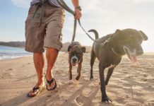 The Problem With Walking in Flip-Flops