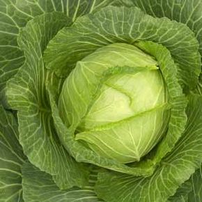 The cabbage soup diet works quickly, but it cuts out nutrients along with calories. See more weight loss tips pictures.