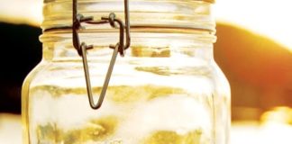 Salts of Earth and Sea