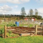 Tilling Togetherness