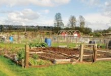 Tilling Togetherness