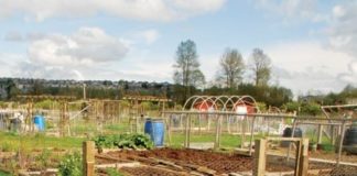 Tilling Togetherness