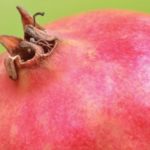 Fear Not the Pomegranate