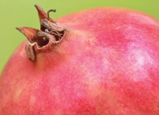 Fear Not the Pomegranate