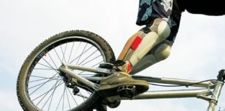 Game Plan for an Optimal Diet