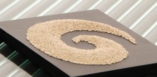 Is Salba the New Black?