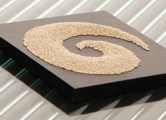 Is Salba the New Black?