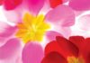 The Lessons of Spring