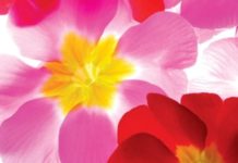 The Lessons of Spring