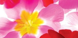 The Lessons of Spring