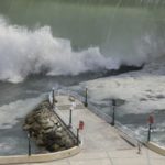 Tsunami Debris Sparks Concerns Over Invasive Species