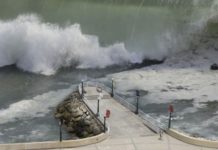 Tsunami Debris Sparks Concerns Over Invasive Species