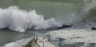 Tsunami Debris Sparks Concerns Over Invasive Species