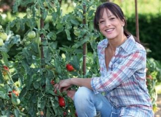 Community Farms and You