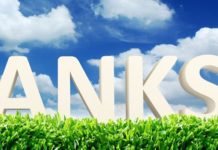 Develop an attitude of gratitude