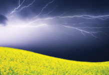Negative Ions