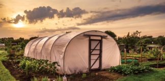 Organic and Biodynamic Farming
