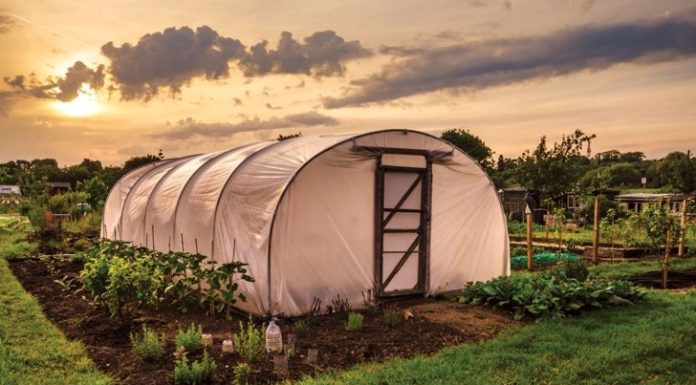 Organic and Biodynamic Farming