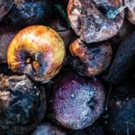 Put Food Waste on the Chopping Block