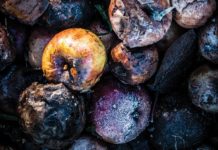 Put Food Waste on the Chopping Block