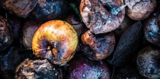 Put Food Waste on the Chopping Block