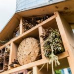 Bee hotels? Whatever next!