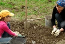 5 Awesome Reasons to Join alive Listens