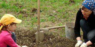 5 Awesome Reasons to Join alive Listens