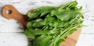 Kitchen Corner: Get Sweet on Sorrel