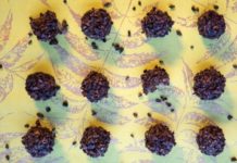 Meatless Monday: 7 No-Bake Treats for Earth Hour