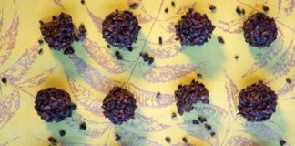 Meatless Monday: 7 No-Bake Treats for Earth Hour