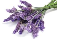 Clear Blemishes Naturally