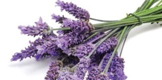 Clear Blemishes Naturally